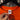 80s OSU pistol Pete crew - S
