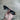 Rayban “Sleek Oval” Sunglasses /